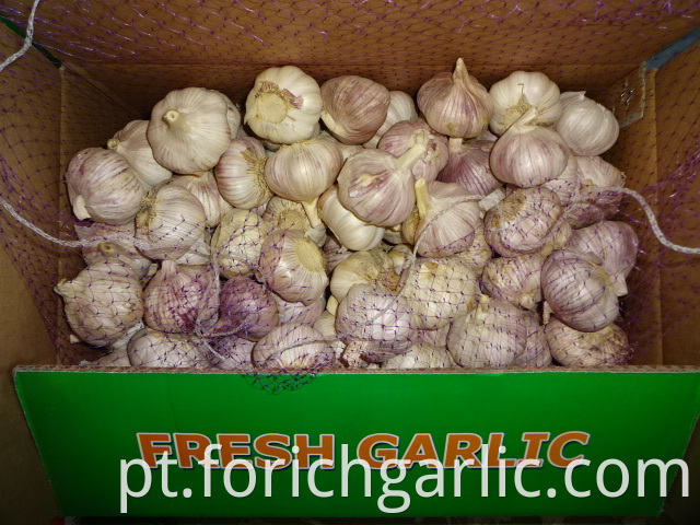 Crop 2019 Fresh Garlic